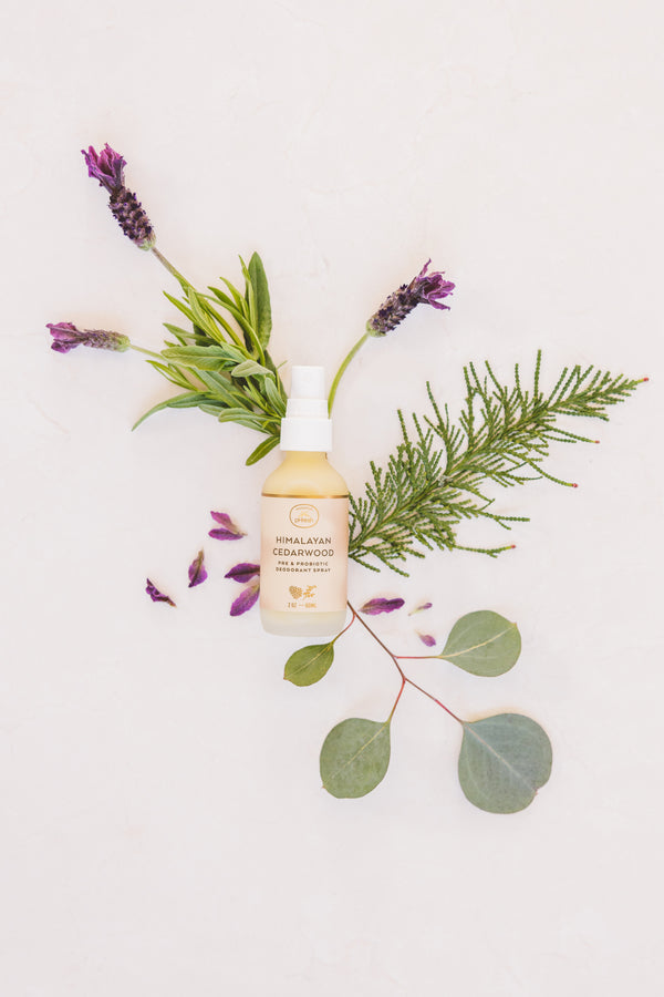 Himalayan Cedarwood Pre + Probiotic Deodorant Spray - honestlyphresh