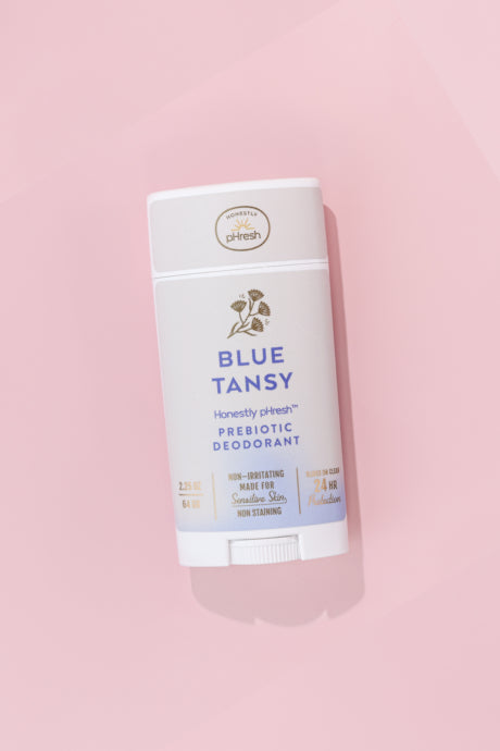 Blue Tansy Wildflower